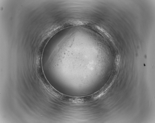 X0000087550359200705112127