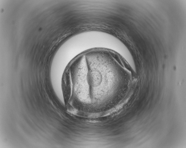 X0000087550360200705112127