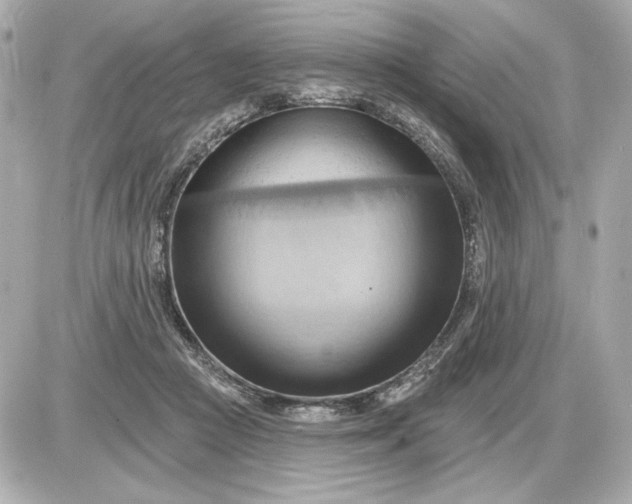 X0000087550361200705112127