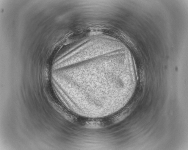 X0000087550362200705112127