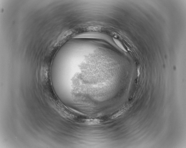 X0000087550363200705112127