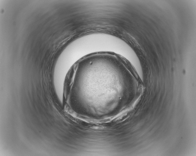 X0000087550364200705112127