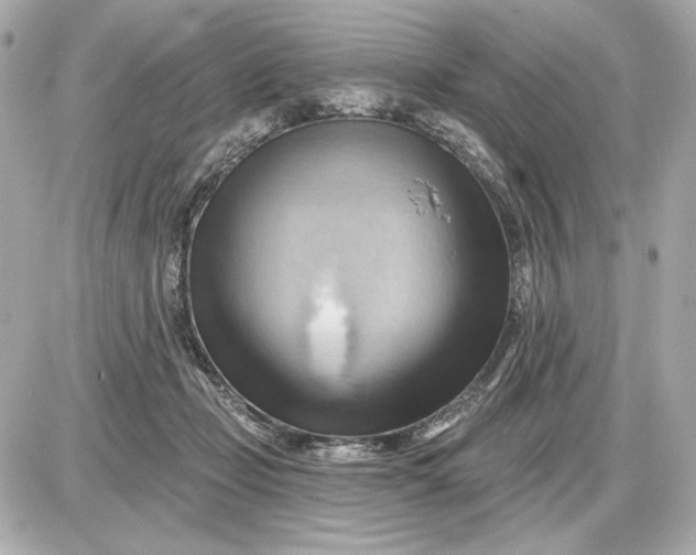 X0000087550365200705112127