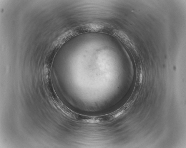 X0000087550366200705112127