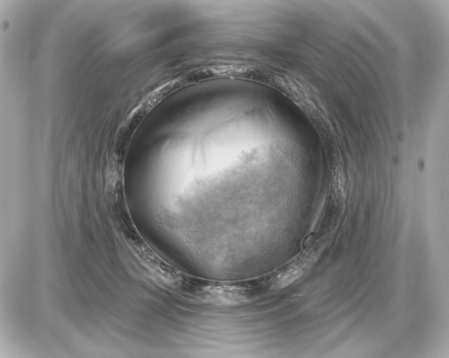 X0000087550367200705112127