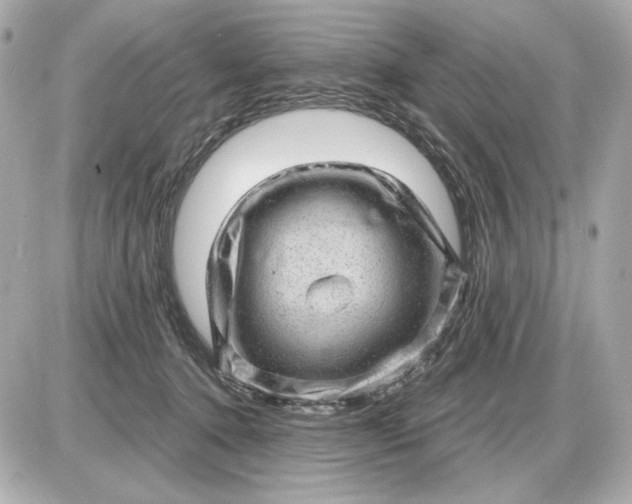 X0000087550368200705112127