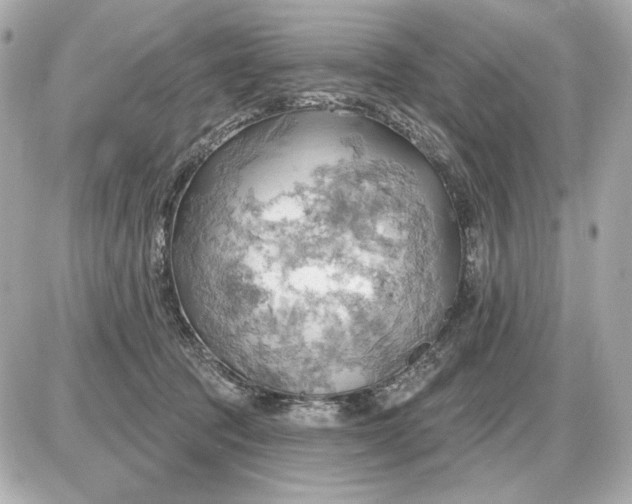 X0000087550369200705112127