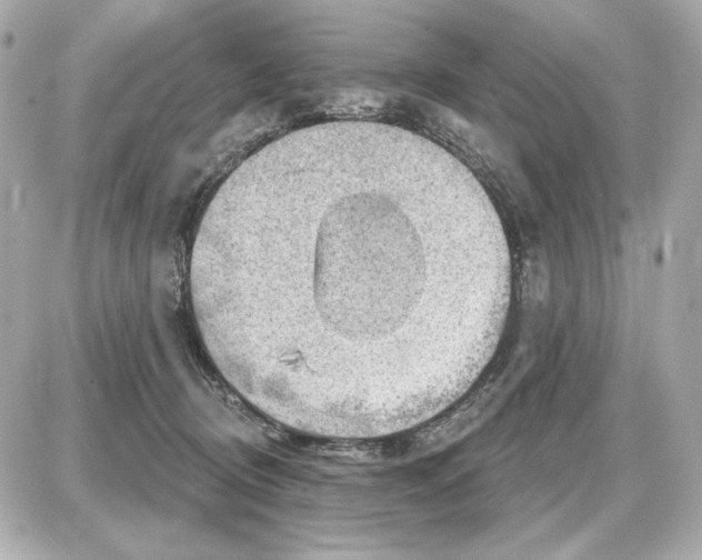 X0000087550370200705112127