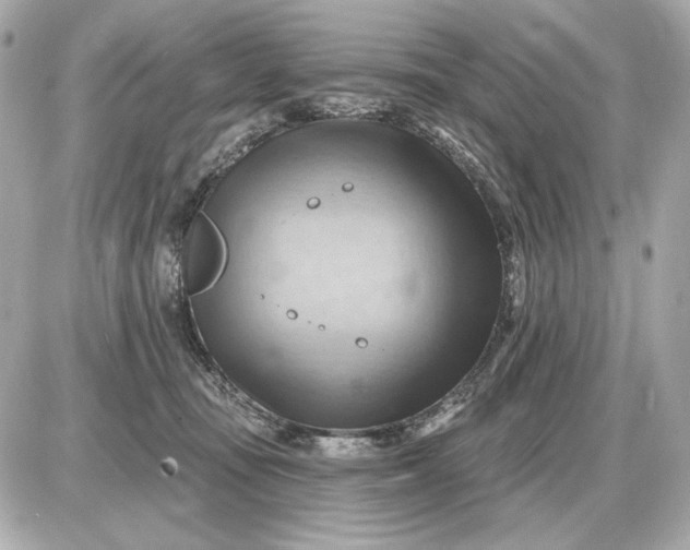 X0000087550371200705112127