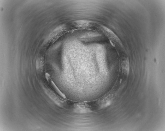 X0000087550372200705112127