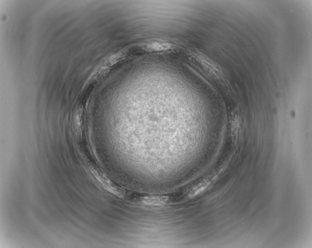 X0000087550373200705112127