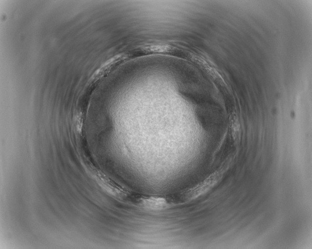 X0000087550374200705112127