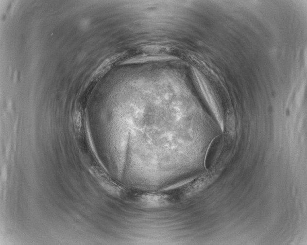 X0000087550375200705112127