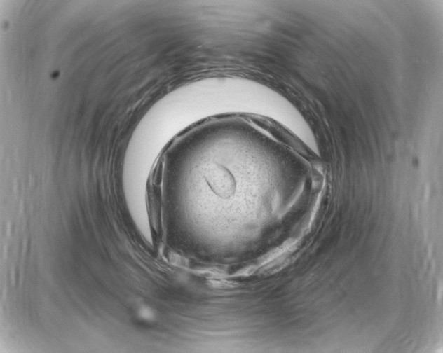 X0000087550376200705112127