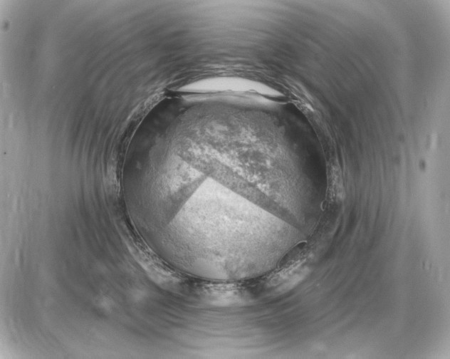 X0000087550377200705112127