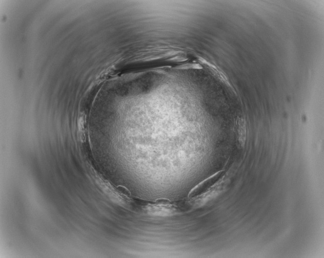 X0000087550378200705112127