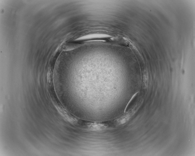 X0000087550379200705112127