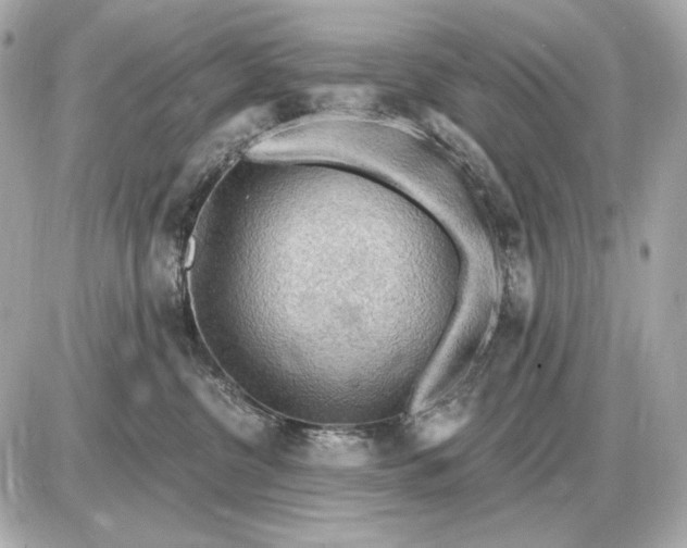 X0000087550380200705112127