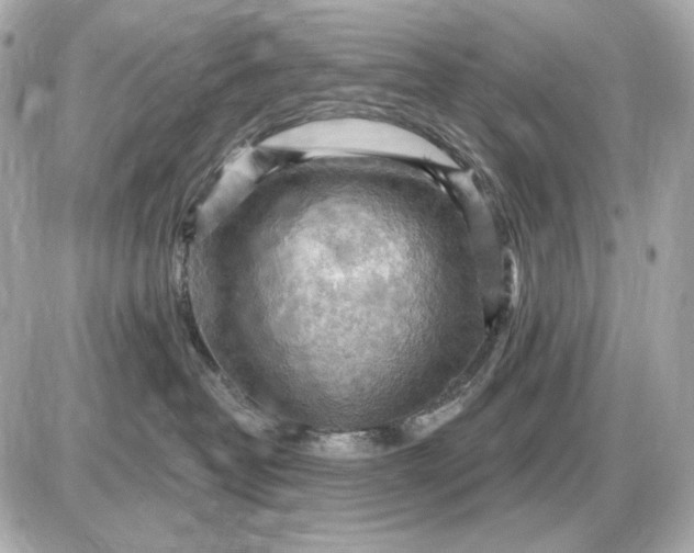 X0000087550382200705112127