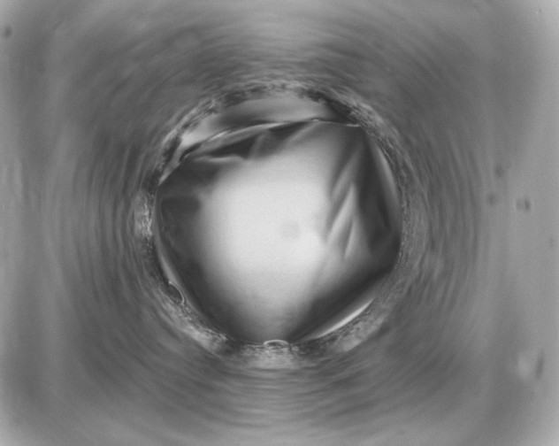 X0000087550384200705112127