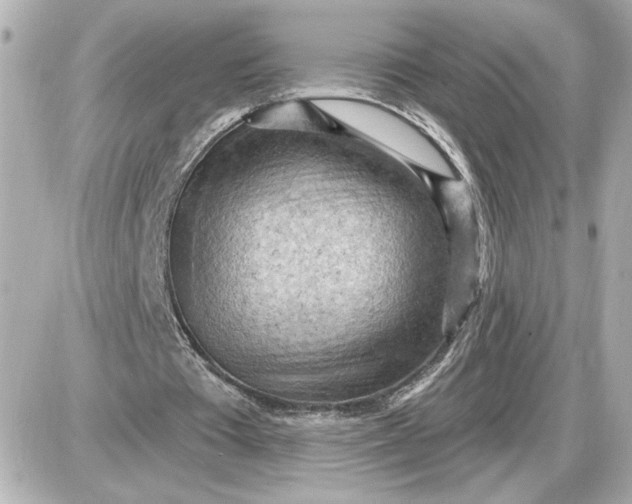 X0000087550385200705112127