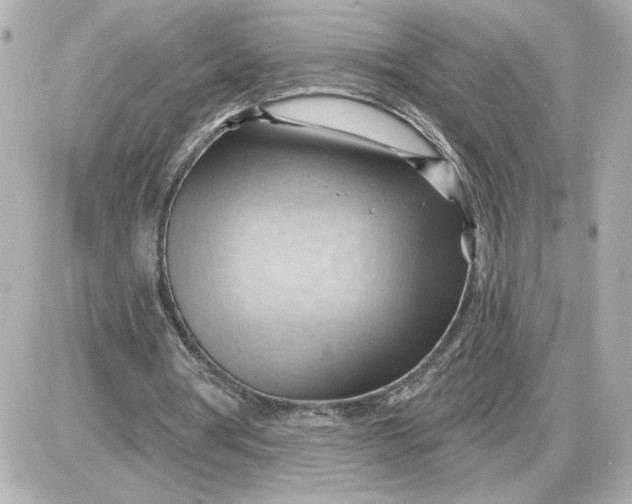 X0000087550386200705112127