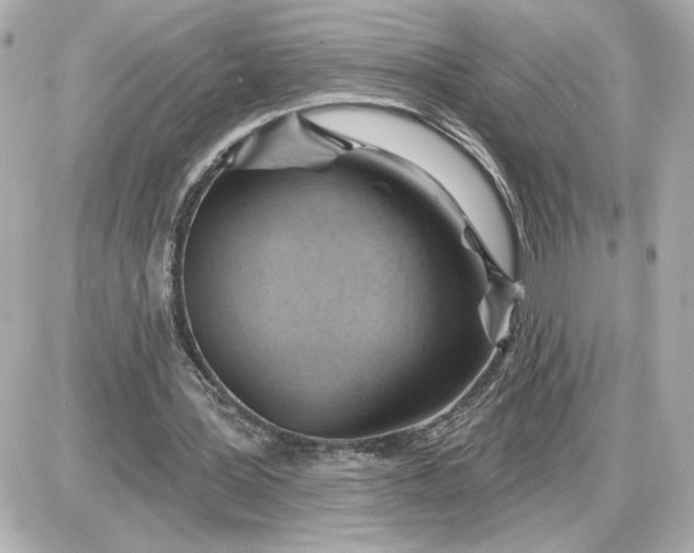 X0000087550387200705112127