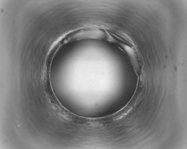 X0000087550388200705112127