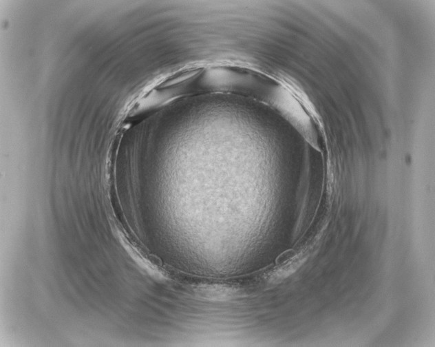 X0000087550389200705112127