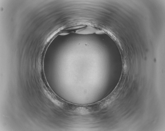 X0000087550390200705112127