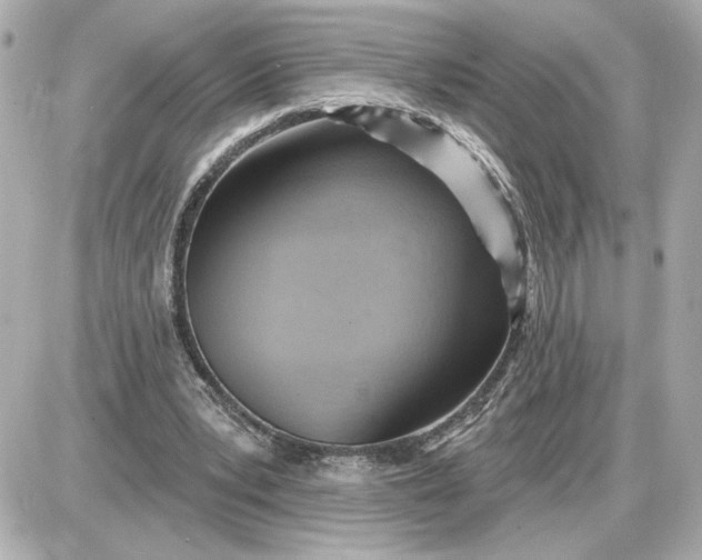 X0000087550391200705112127