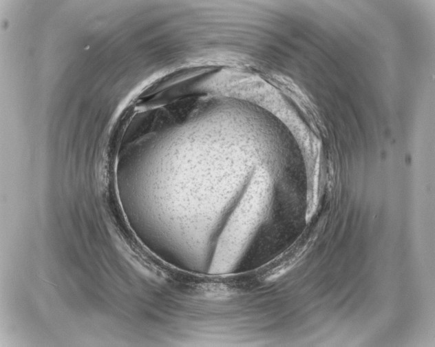 X0000087550392200705112127