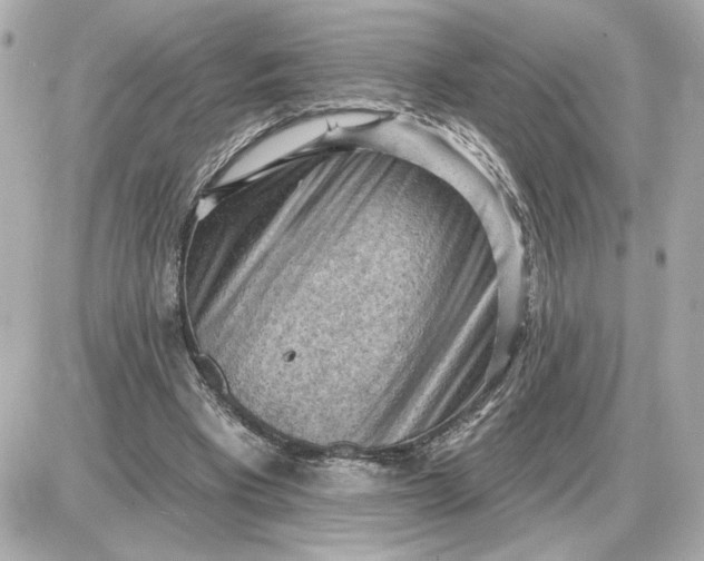 X0000087550393200705112127