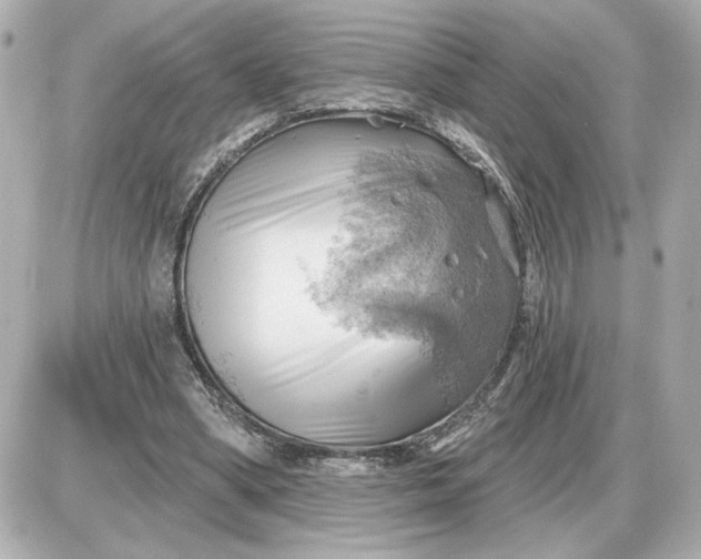 X0000087550394200705112127