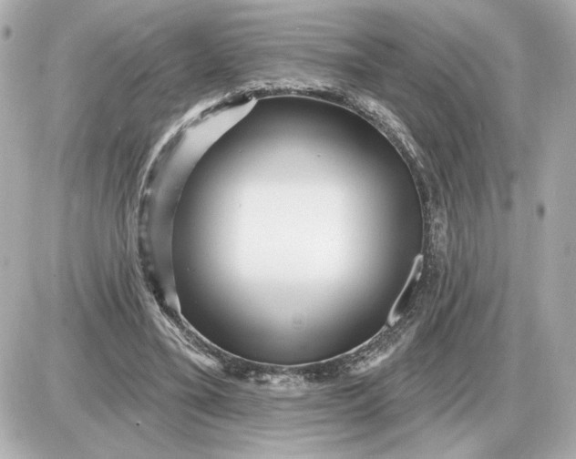 X0000087550395200705112127