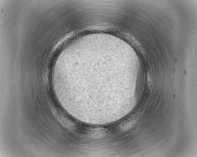 X0000087550396200705112126