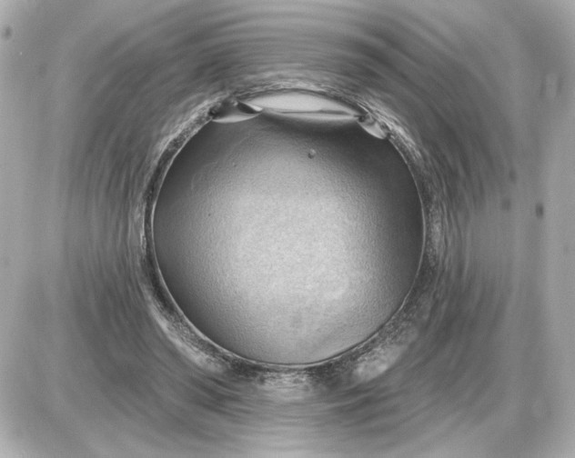 X0000087550398200705112126