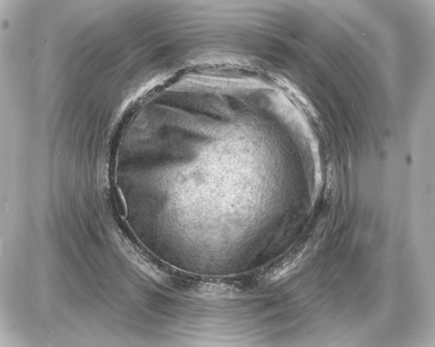 X0000087550399200705112126