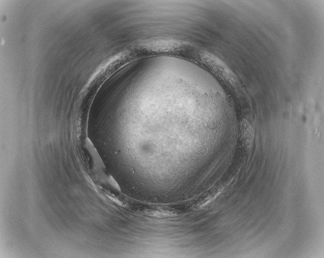 X0000087550400200705112126