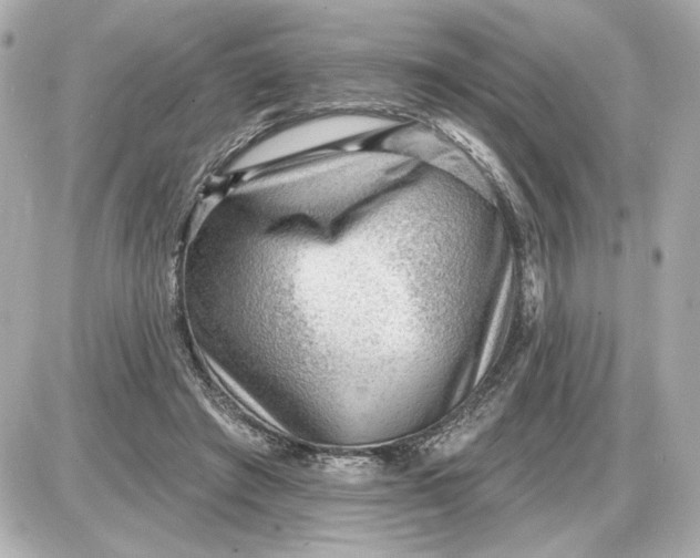 X0000087550401200705112126