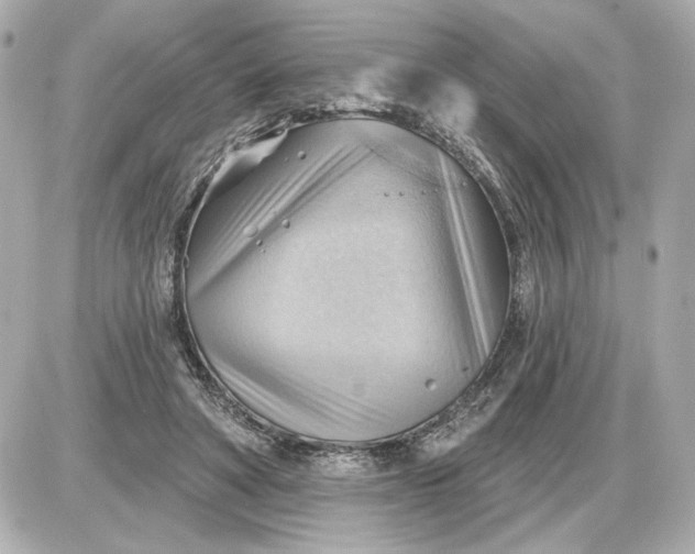 X0000087550402200705112126