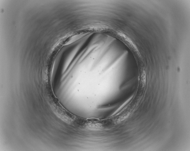 X0000087550403200705112126