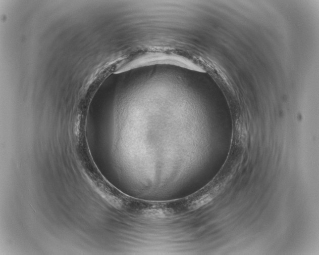 X0000087550404200705112126