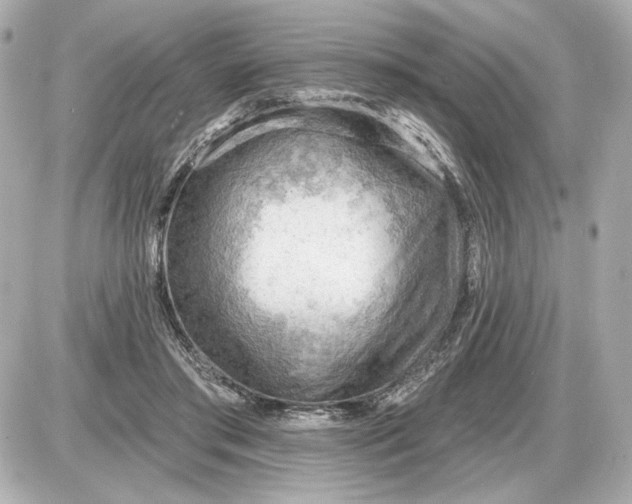 X0000087550405200705112126