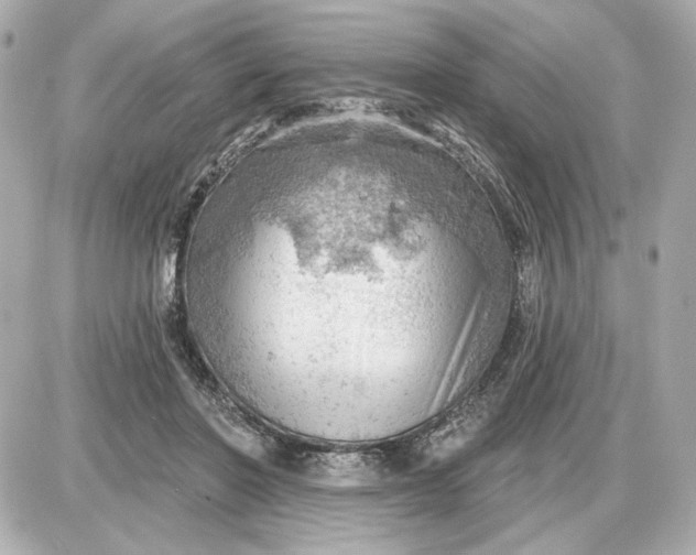 X0000087550406200705112126