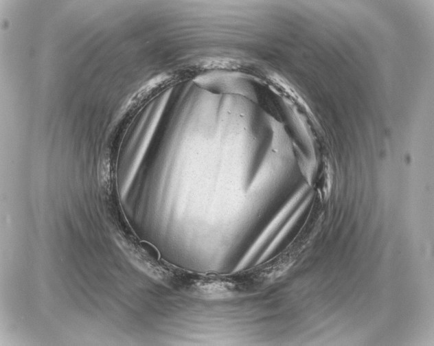 X0000087550407200705112126