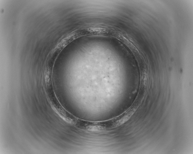 X0000087550408200705112126