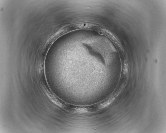 X0000087550409200705112126