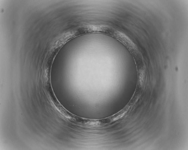 X0000087550410200705112126