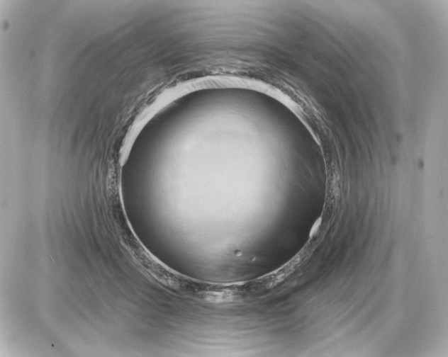 X0000087550411200705112126